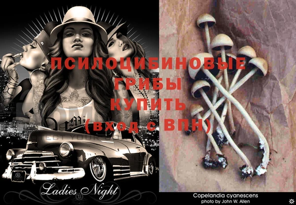 MDMA Бородино