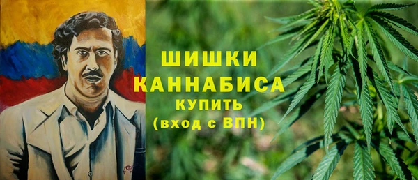 MDMA Бородино