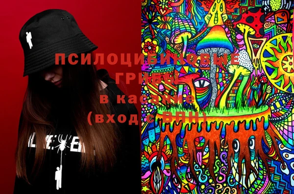 MDMA Бородино